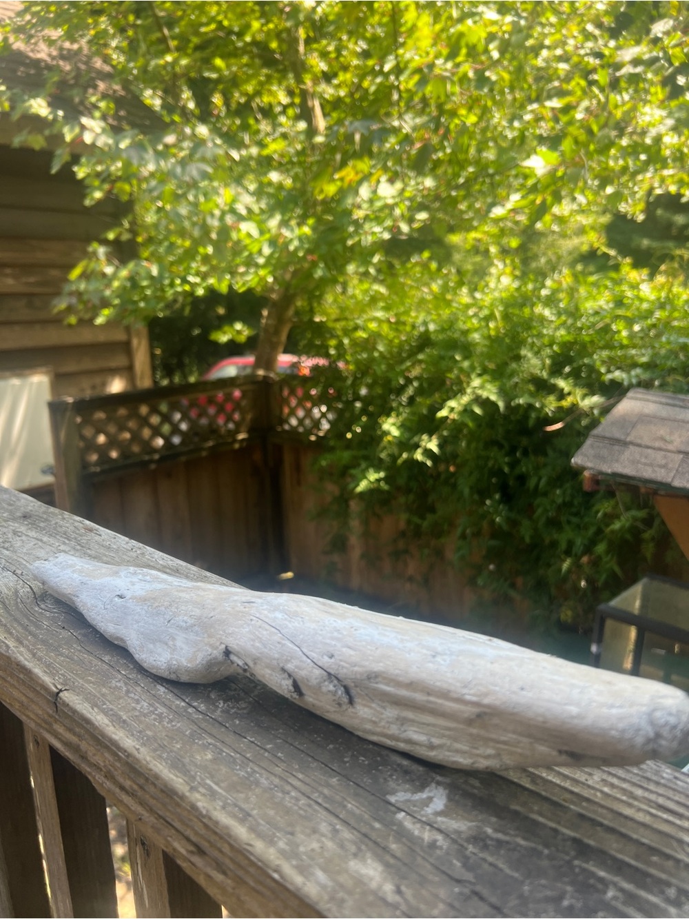 Natural Beach Driftwood Sculpture Long Pale Gray PNW Sea Home Decor DIY